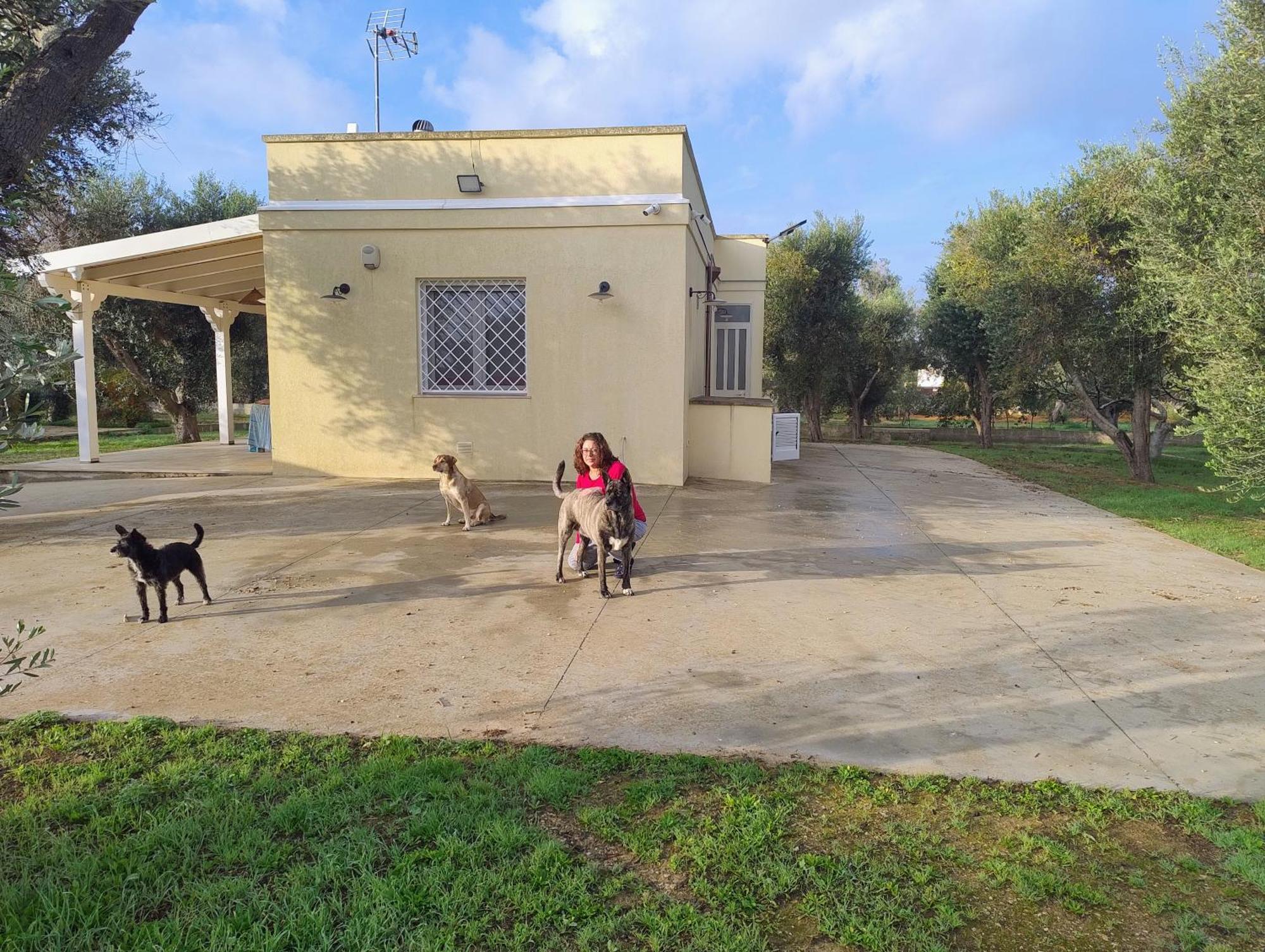 Villa Mios Муро-Леччезе Экстерьер фото